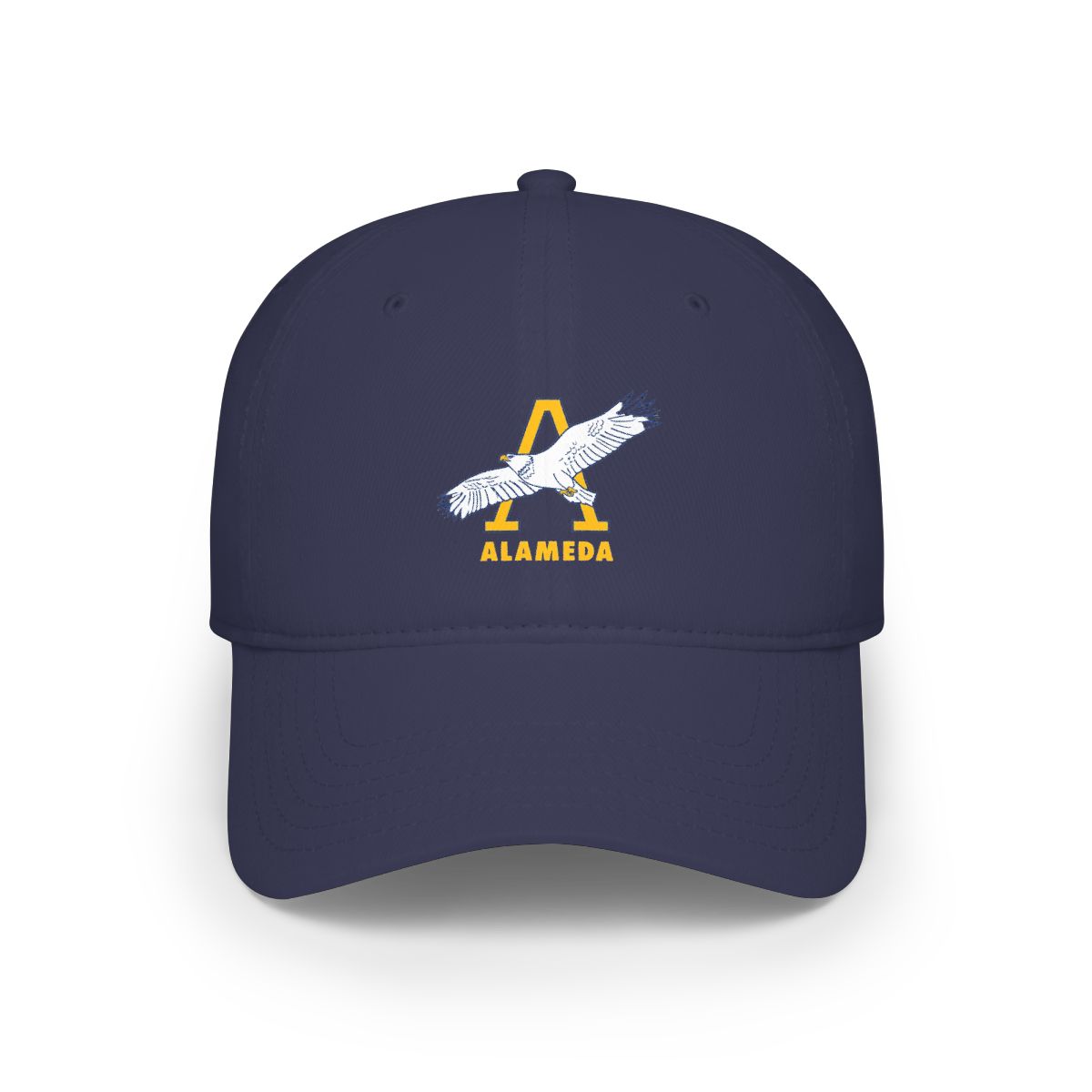 2025 Alameda Striped Pom Pom | Alemeda - alternate angle 2, merchandise