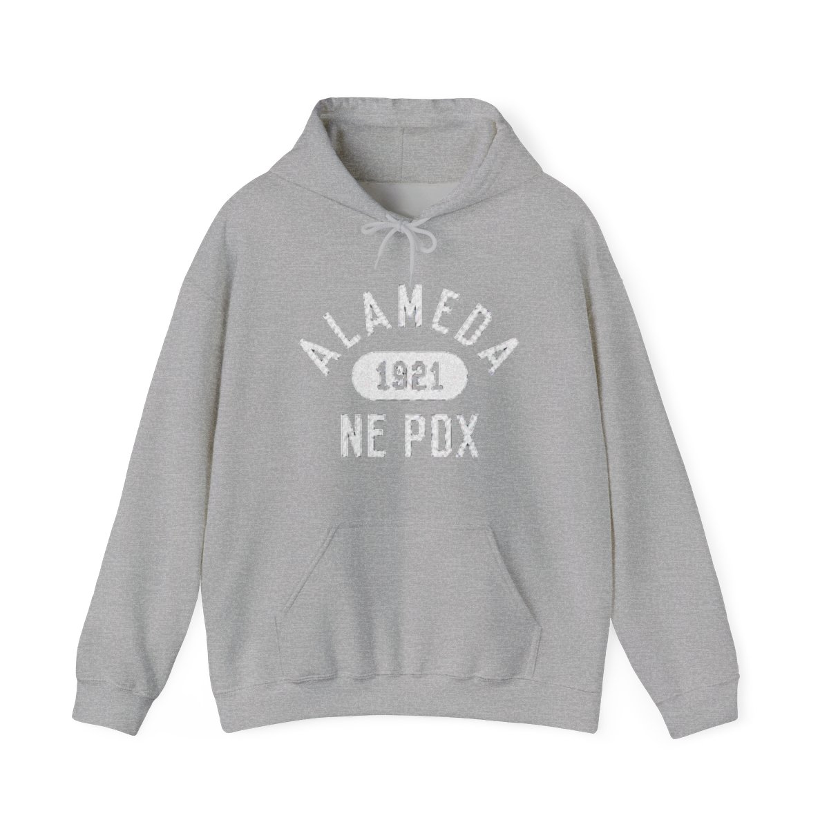 2025 Alameda Fleece Hoodie (Youth) | Alemeda - alternate angle 2, merchandise